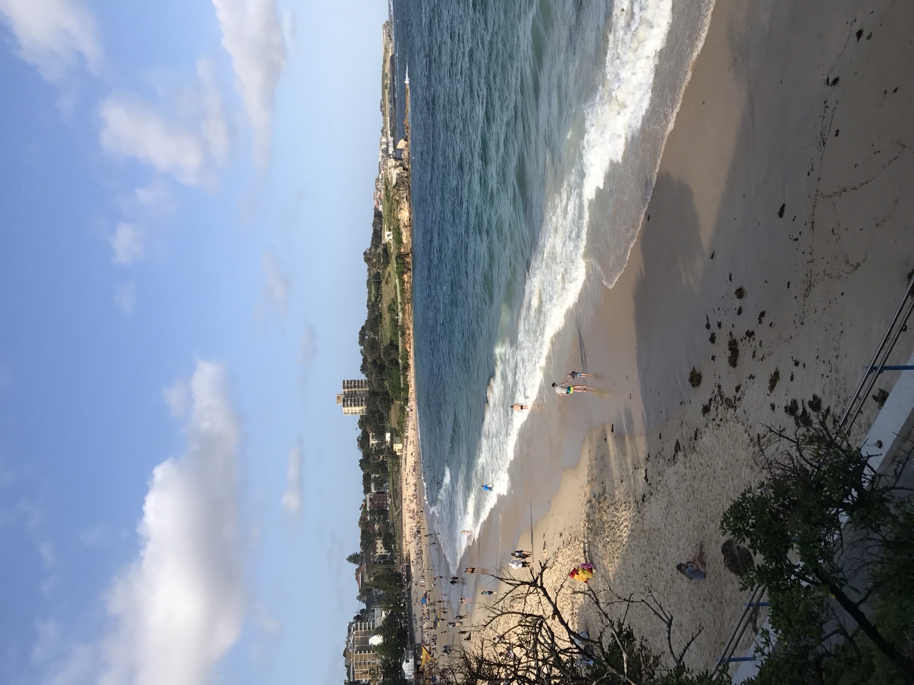 Bondi coastline beach